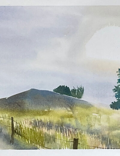 San Francisco Watercolor of the Ecology Trail in the Presidio by Lynn Sondag available at Avenue 12 Gallery