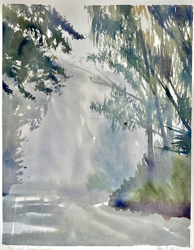 San Francisco Watercolor Painting of Rob Hill in the Presidio by Lynn Sondag available at Avenue 12 Gallery