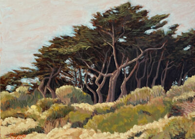 San Francisco Art Painting of Monterey Cypress Trees by Lawrence Kushner